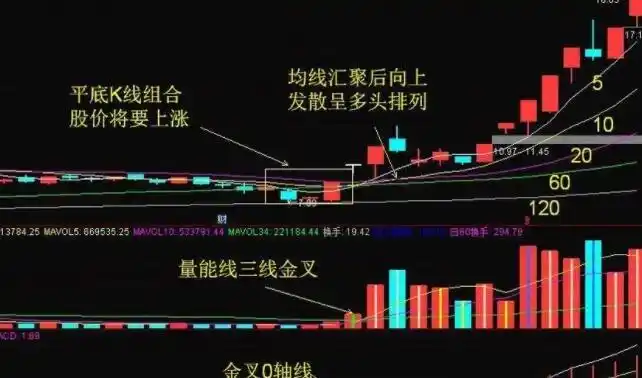 专业炒股配资网：助力投资者实现财富增值的得力助手